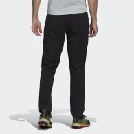 Штани для хайкінга Adidas Terrex Liteflex GI7310