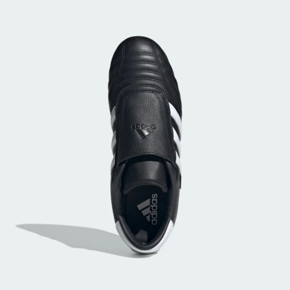Кросівки Adidas Taekwondo JQ4775_image_2