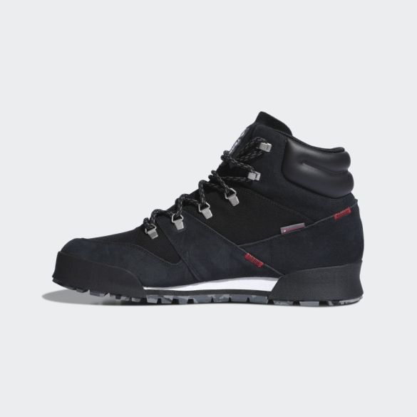 Чоловічі черевики Adidas Terrex Snowpitch FV7957_image_2