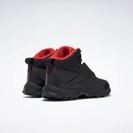 Мужские ботинки Reebok Trail Chaser III FY4443