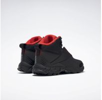Чоловічі черевики Reebok Trail Chaser III FY4443_image_9