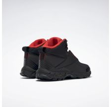 Чоловічі черевики Reebok Trail Chaser III FY4443