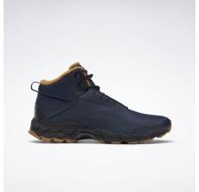 Чоловічі черевики Reebok Trail Chaser III FY4444