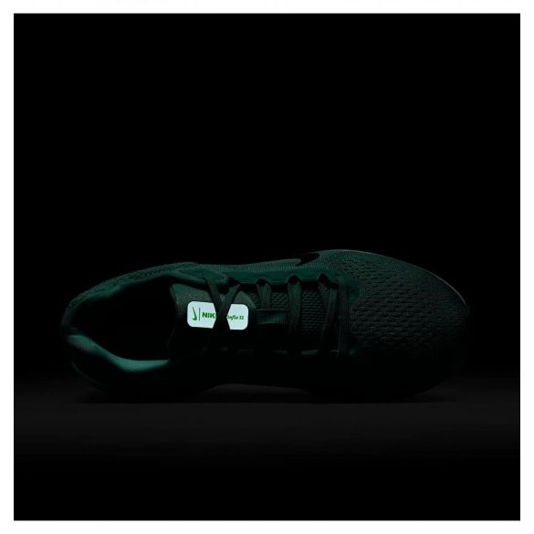 Кроссовки Nike Air Winflo 11  FJ9510-305_image_9