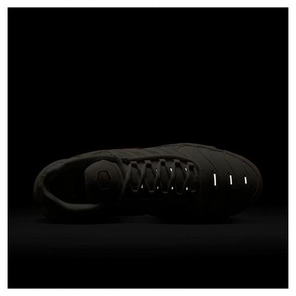 Кросівки чоловічі Nike Air Max Plus DM0032-019_image_9