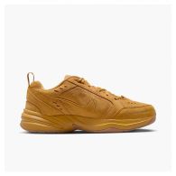 Кроссовки мужские Nike Air Monarch IB2281-700