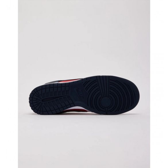 Мужские кроссовки Nike Dunk Low Retro DV0833-601_image_6