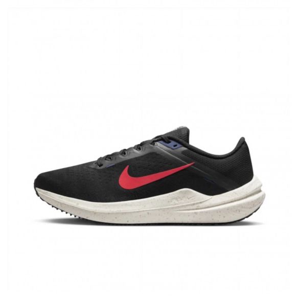Чоловічі кросівки Nike Air Winflo 10 DV4022-002