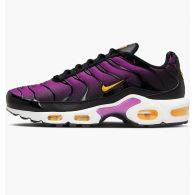 Кроссовки женские Nike Air Max Plus Multi DZ3670-005