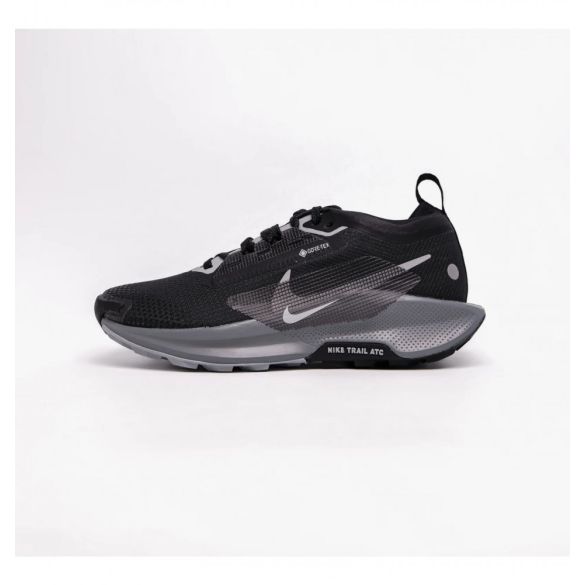 Кроссовки женские Nike Pegasus Trail 5 Gore-Tex FQ0912-001_image_35