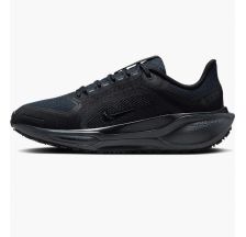 Жіночі кросівки Nike W Air ZM Pegasus 41 GTX FQ1357-001