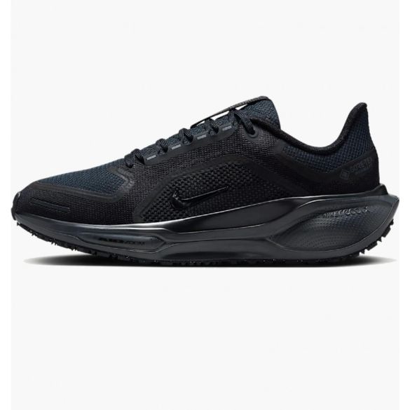 Жіночі кросівки Nike W Air ZM Pegasus 41 GTX FQ1357-001_image_2
