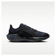 Женские кроссовки Nike W Air ZM Pegasus 41 GTX FQ1357-001