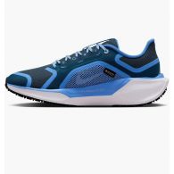 Женские кроссовки Nike W Air ZM Pegasus 41 GTX FQ1357-400