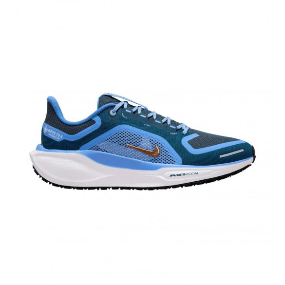 Жіночі кросівки Nike W Air ZM Pegasus 41 GTX FQ1357-400