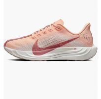 Кросівки жіночі Nike Pegasus Plus Road FQ7261-800_image_21