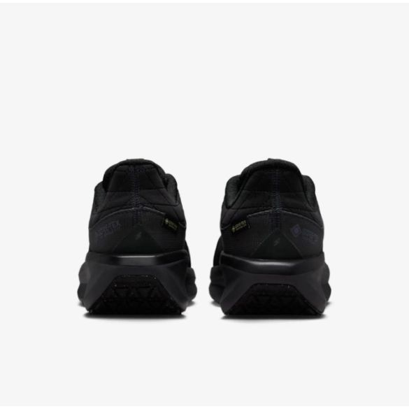 Жіночі кросівки Nike W Air Winflo 11 Gtx FQ1359-001_image_5