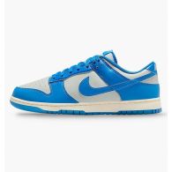 Кроссовки мужские Nike Dunk Low Retro HF5441-002