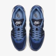 Кросівки Nike Air Max Command 629993-410