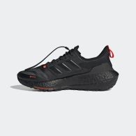 Кроссовки Adidas Ultraboost 21 Gore-Tex FZ2555