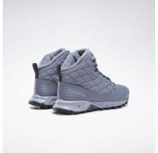 Жіночі черевики Reebok Arctic Sugar FV5404