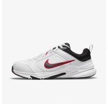 Кроссовки Nike Defy All Day White DM7564-102