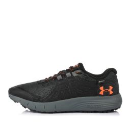 Мужские кроссовки Under Armour Charged Bandit Trail GTX 3022784-006_image_67
