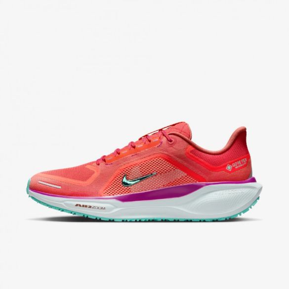 Мужские Кроссовки Nike Pegasus 41 Gore Tex HM8872-600_image_35