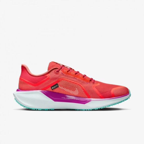 Мужские Кроссовки Nike Pegasus 41 Gore Tex HM8872-600_image_35