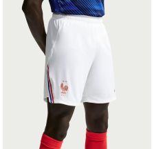 Чоловічі шорти NIKE FFF M NK DF SHORT STAD HM