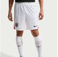 Мужские шорты NIKE ENT M NK DF SHORT STAD HM_image_5