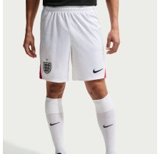Чоловічі шорти NIKE ENT M NK DF SHORT STAD HM