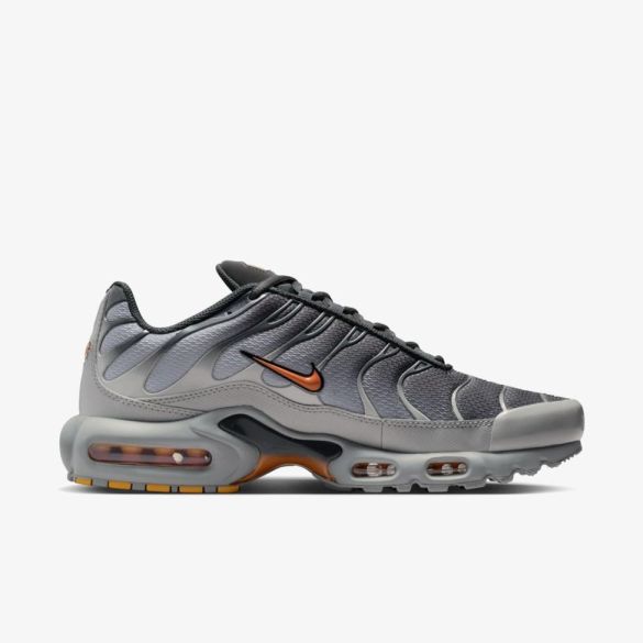 Чоловічі кросівки NIKE AIR MAX PLUS_image_3