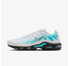 Мужские кроссовки NIKE AIR MAX PLUS