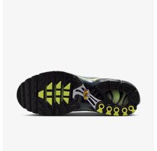 Мужские кроссовки NIKE AIR MAX PLUS