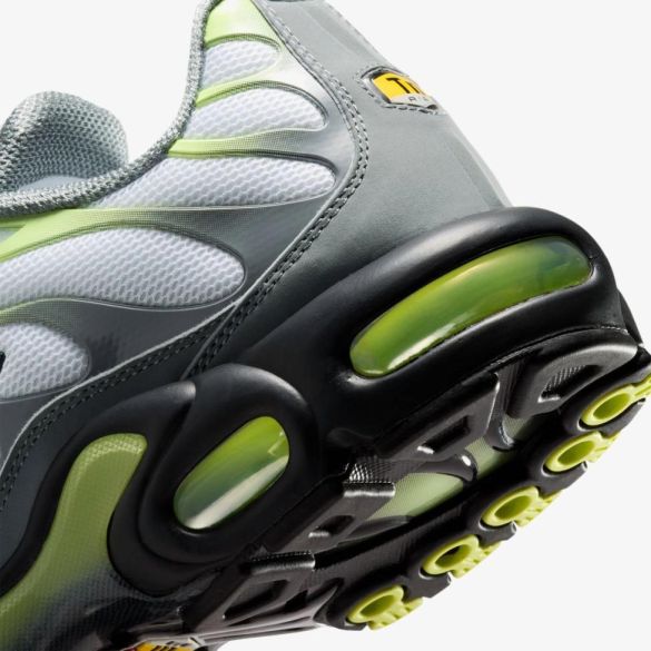 Мужские кроссовки NIKE AIR MAX PLUS_image_8