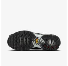 Жіночі кросівки NIKE AIR MAX PLUS
