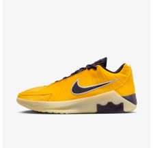 Чоловічі кросівки NIKE LEBRON WITNESS IX
