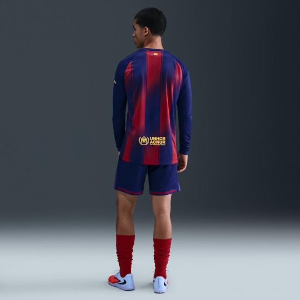 Мужские шорты NIKE FCB M NK DF SHORT STAD HM_image_5