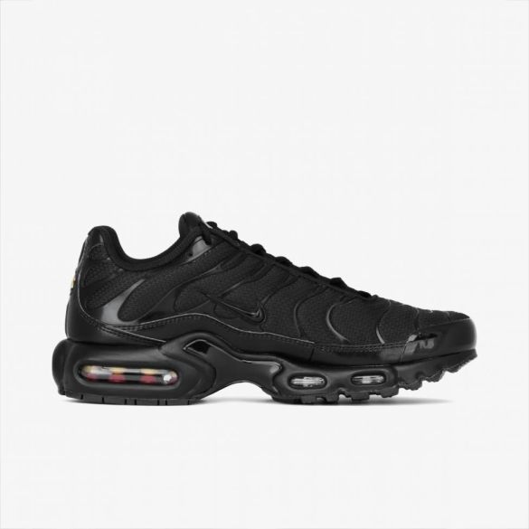 Мужские кроссовки Nike AIR MAX PLUS_image_3