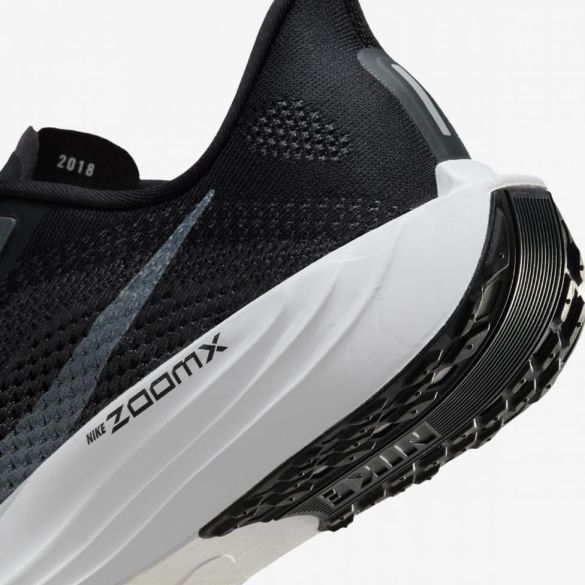 Чоловічі кросівки NIKE PEGASUS PLUS_image_8