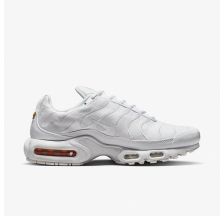 Чоловічі кросівки Nike Air Max Plus AJ2029-100