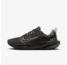 Кросівки Nike Wmns Juniper Trail 2 Gtx FB2065-001