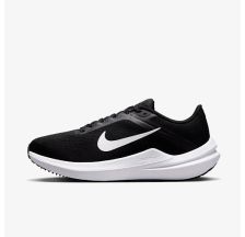 Кросівки Жіночі Nike Winflo 10 Beige DV4023-003